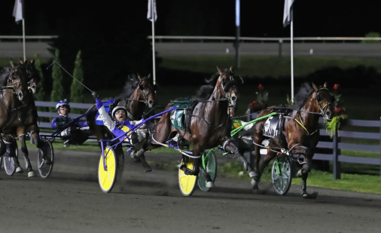 How to Train a Horse for Racing: An Inside Look