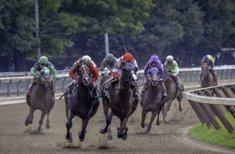 Key Factors to Consider When Betting on Horse Races