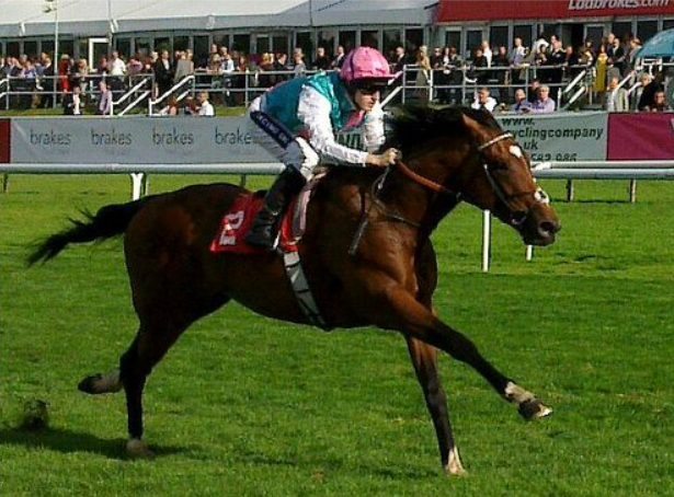 The Best Horse Racing Books You Should Read